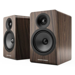 Kolumny Acoustic Energy AE100²