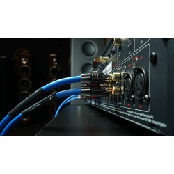 Kabel audio 2RCA Melodika SB2R