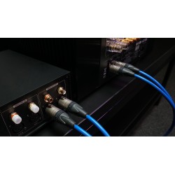 Kabel audio 2XLR Melodika SB2X