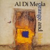 Al Di Meola - Orange and blue LP