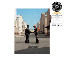 Pink Floyd - Wish you were...